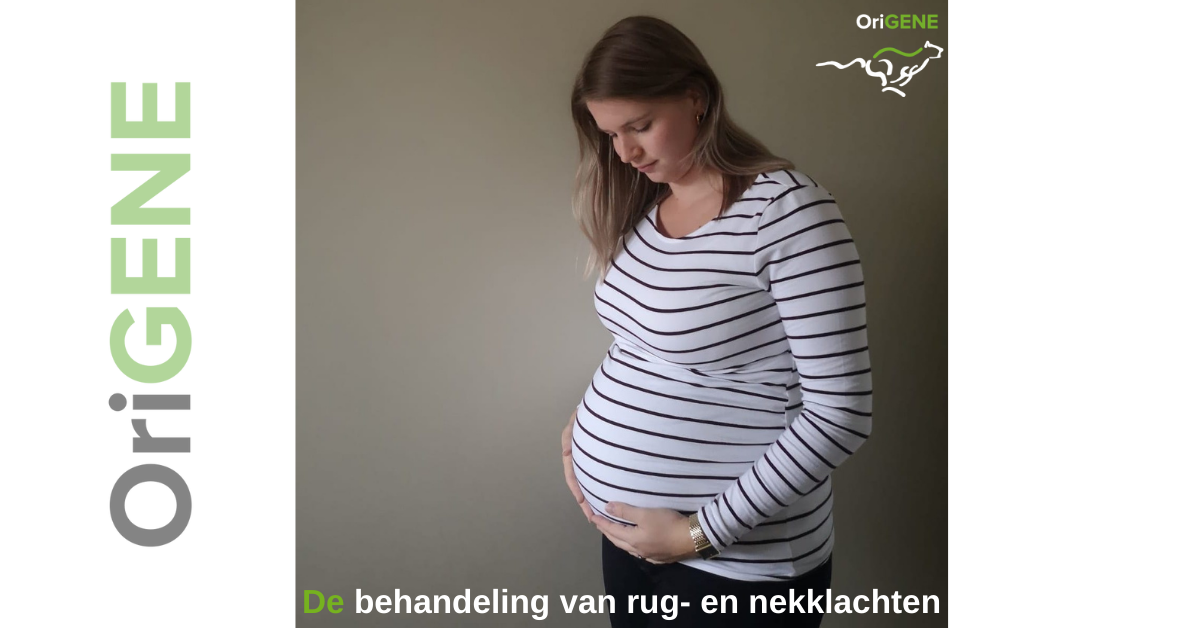 heuvel Identificeren Aziatisch Rugpijn tijdens mijn zwangerschap | Wat nu? | OriGENE